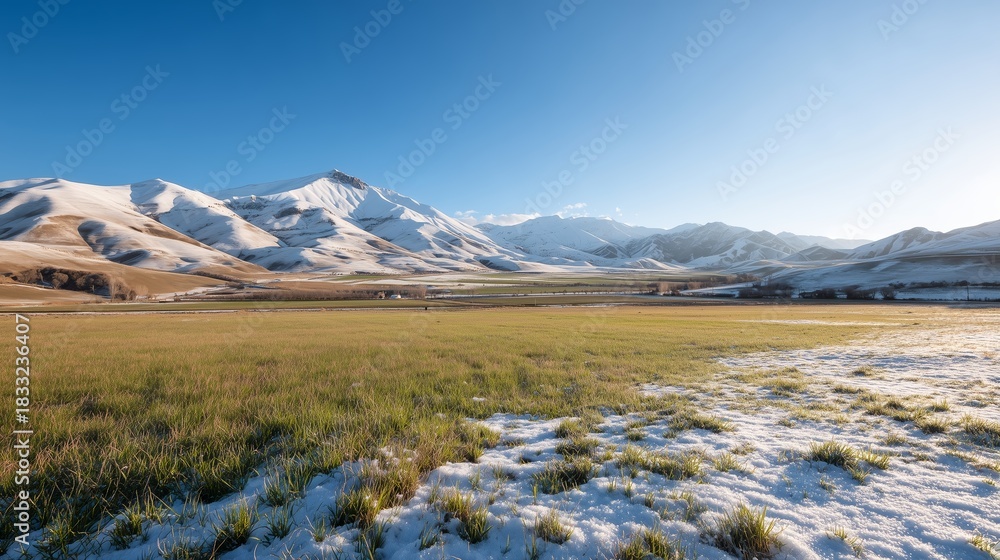Fototapeta premium Snow-capped mountains and green fields under a clear blue sky in winter landscape
