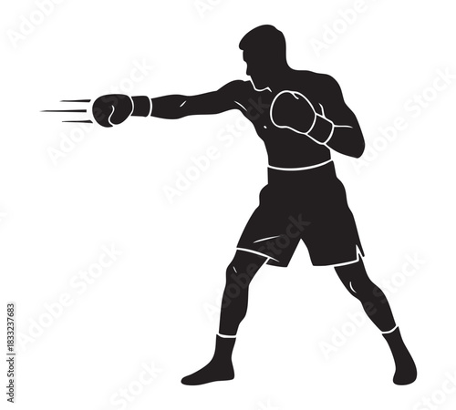 Boxing with boxer silhouette. Isolated background