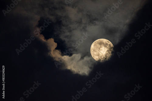 full moon in the sky