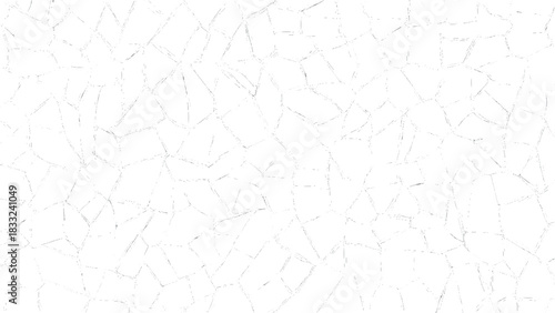 Abstract white cell pattern background with irregular shapes and thin black lines. White crack wall texture background with distressed surface for creative design. 