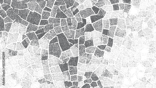 Abstract cellular pattern on white background with thin black linear accents. Distressed white crack texture background for vintage and architectural design projects. 