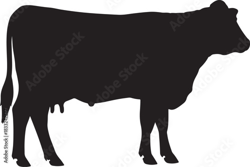 Black Silhouette of a Cow with Udder Standing in Profile on a White Background cattle animal
