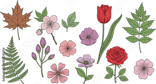 Hand-drawn flower and leaf illustration set featuring roses, tulips, blossoms and greenery for botanical design, nature decoration, floral art and garden themes