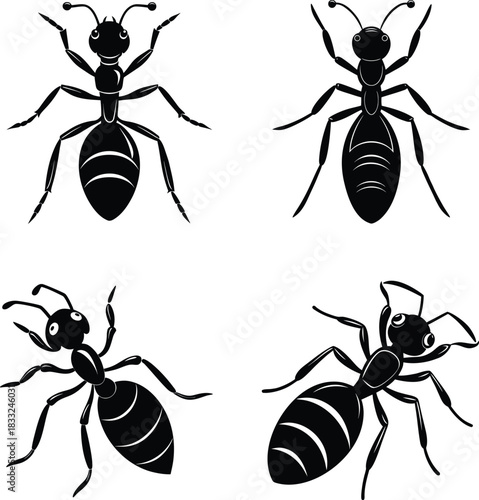 A set of Ant vector illustration