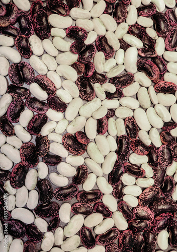 Scarlet and white runner beans spread on a tray in closeup