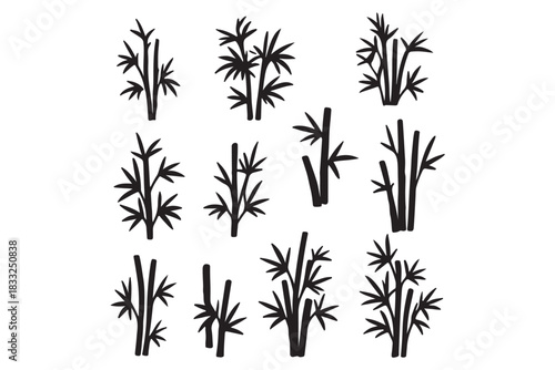 bambus silhouettes volume