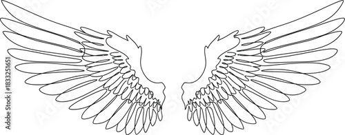Elegant angel wings illustration in minimalist line art style on white background