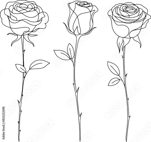 Collection of three distinct rose outlines with varying stem and leaf details presented vertically