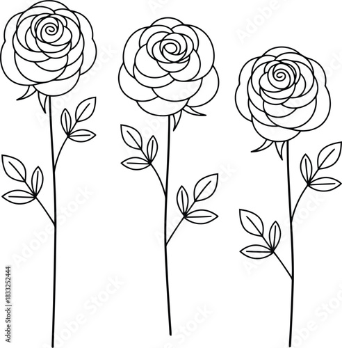 Three beautiful single line outline roses with stems and leaves arranged vertically