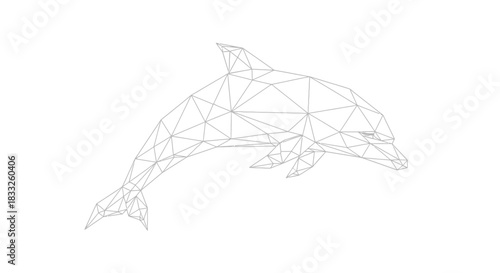 Geometric dolphin illustration on a white background in a modern line art style