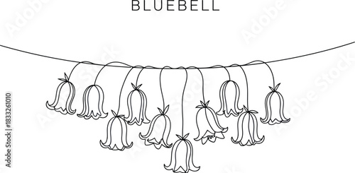 Delicate bluebell flowers hanging on a line in a minimalist line art design