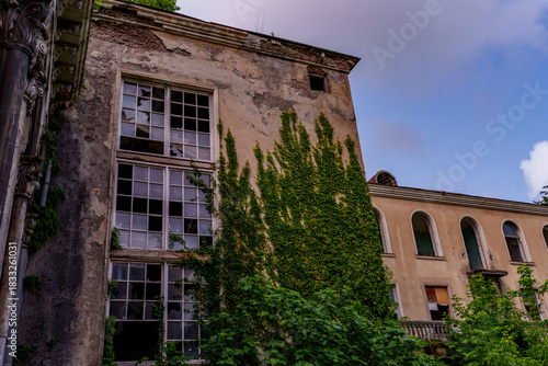 Crumbling ivy covered palace wing with shattered windows