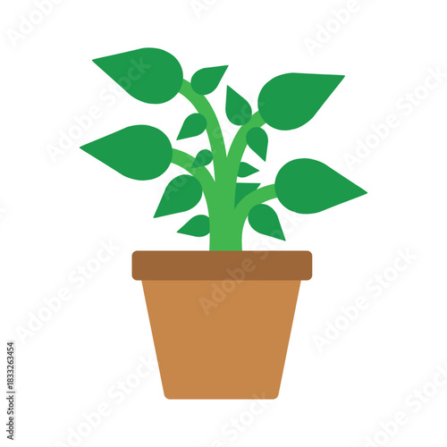 Flat flower plant tub