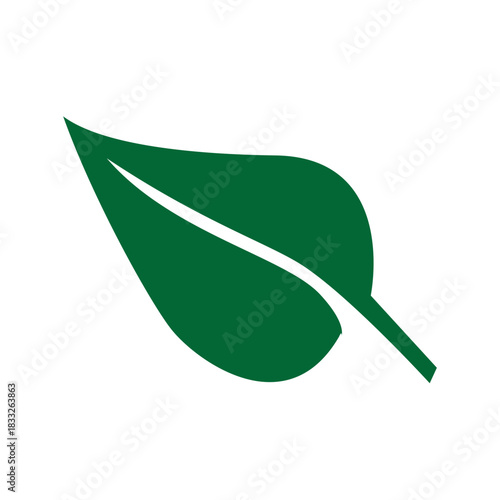 Green st patrick leaf