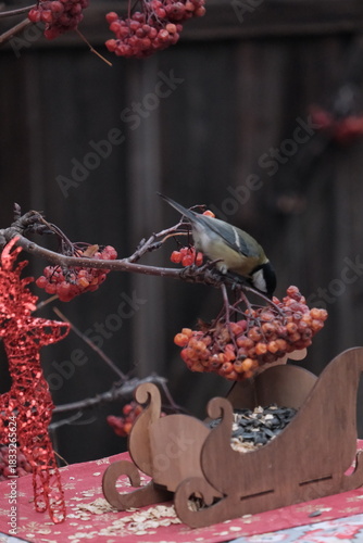 bird in autumn