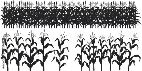Black and white silhouette illustration of a vast field of growing corn plants