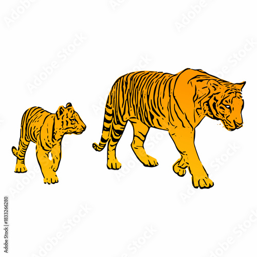 A hand-drawn tiger mother and cub illustration in vintage style, showing wildlife family bonding in a detailed vector format.