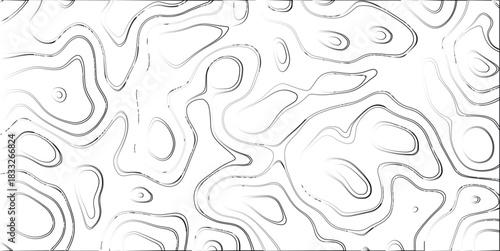 Black and white abstract topographic map lines and contour patterns with a textured effect, suggesting elevation or fluid movement on a white background