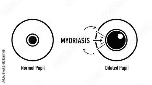 Mydriasis Dilated Pupil Eye Condition Icon