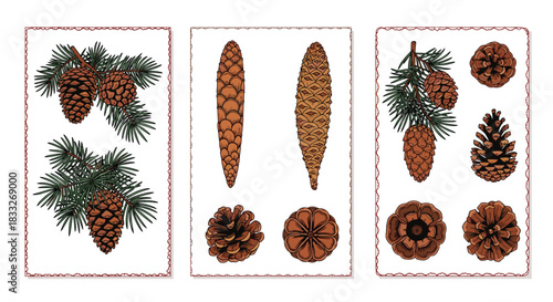 Set of vintage greeting cards with hand-drawn illustrations of pine cones on branches, detailed in a classic botanical style.