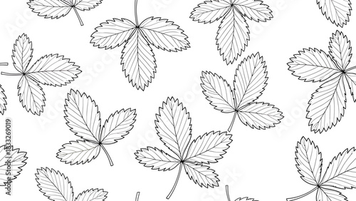 Vector file icon representation for digital graphic assets