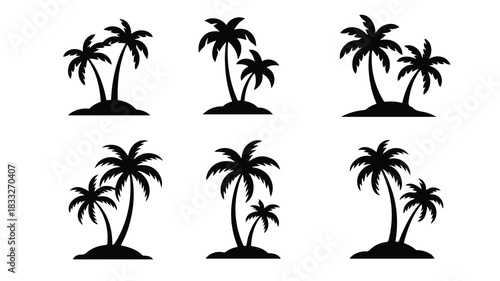 tropical coconut, palm tree silhouette