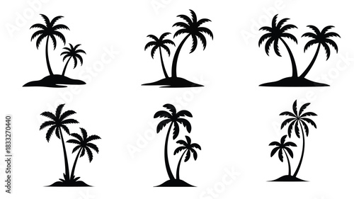 tropical coconut, palm tree silhouette
