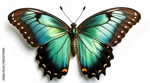 Realistic photograph of tropical butterfly with vibrant blue and green wings spread wide white background, showcasing delicate patterns and beauty
