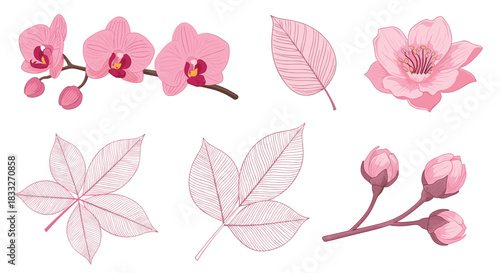 Delicate floral collection featuring pink orchids, cherry blossoms, and various leaves in a botanical illustration style.