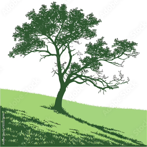 A solitary dark green tree silhouette stands on a gently sloping grassy hill under a bright white sky