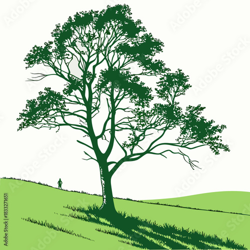 A solitary figure stands on a grassy hill beneath the expansive branches of a large green tree