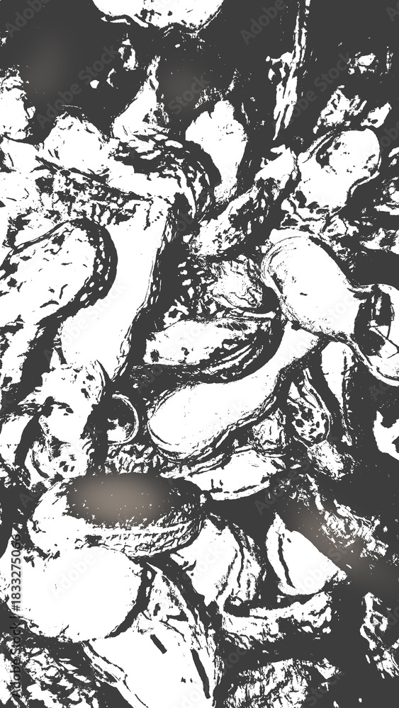 Fototapeta premium Bunch of peanuts vector