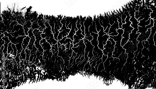 Vintage Xerography River Network, Retro Halftone Engraving Aerial Drainage Pattern, High Contrast Black White Vector Texture