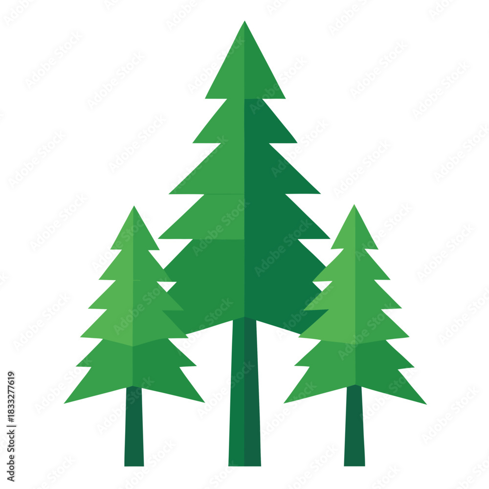 Fototapeta premium Three green pine trees in a row