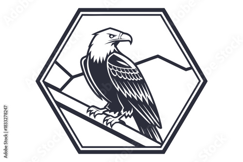 Flat hexagon icon — strong geometric silhouette, minimal abstract styling, clean transparent vector.