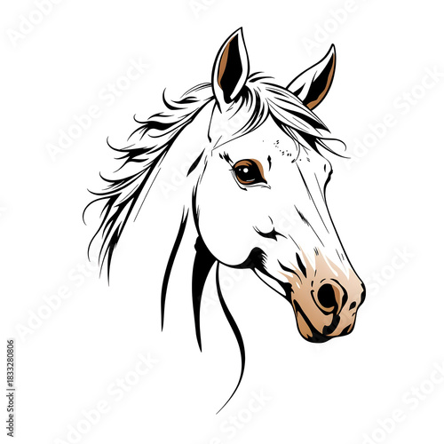 A white horse with a brown nose and brown mane