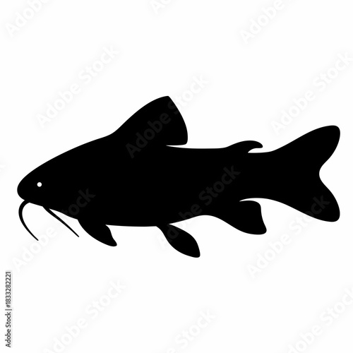 Silhouette of a catfish showing distinct barbels and fin structure clearly