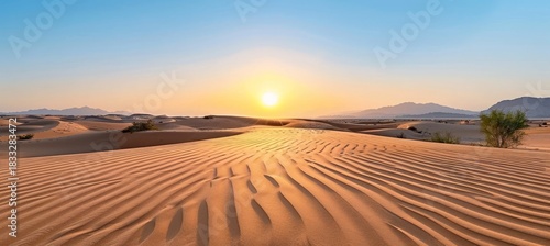 Fototapeta Naklejka Na Ścianę i Meble -  Golden sunset over desert sand dunes under clear blue sky in a minimalistic nature scene