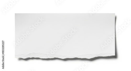Wallpaper Mural White blank paper with torn edge isolated on a white background. Torontodigital.ca