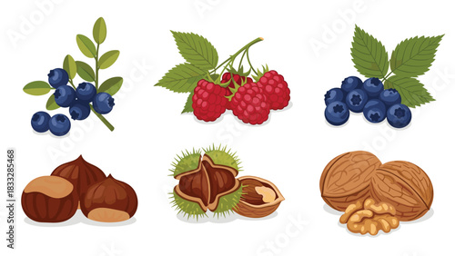 Set of realistic forest foods including blueberries, raspberries, chestnuts, and walnuts, with leaves and shells.
