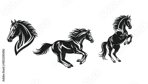 Collection of three dynamic horse illustrations in a black and white style, showing a portrait, a running, and a rearing horse.