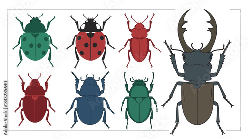 A colorful collection of various beetles and bugs, including a ladybug and a large stag beetle, in a simple flat style.