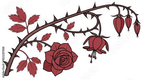 Red Rose and Thorns Botanical Vector, detailed botanical illustration of a red rose with thorns, leaves, and buds on a dark stem.