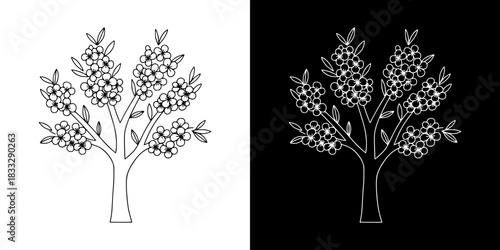 Peach blossom tree illustration, isolated vector image, two versions on transparent and black backgrounds, pencil drawing, chalk drawing
