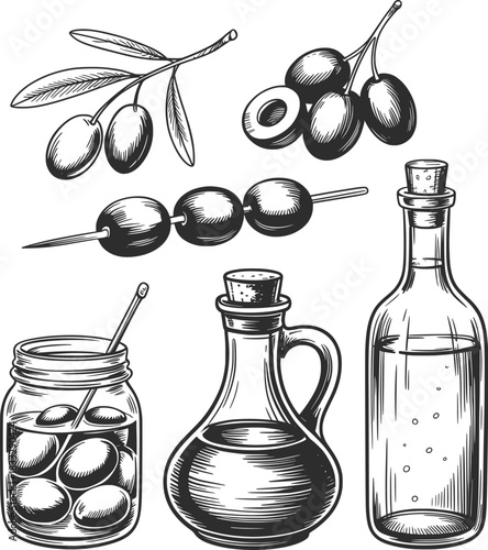 Vintage Olive Branch, Olives and Olive Oil Bottle Illustration.