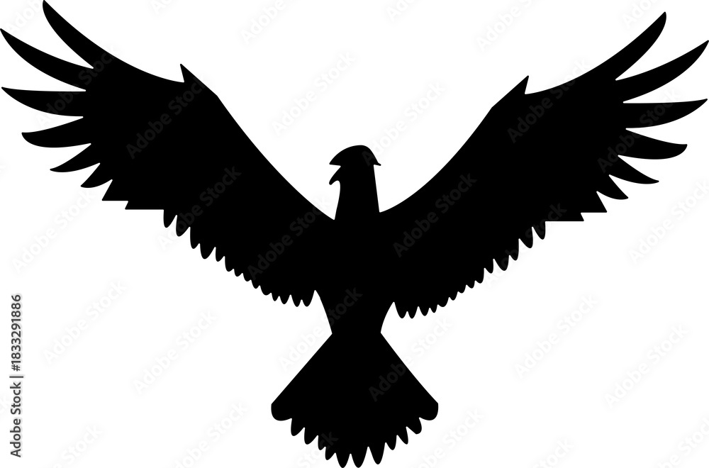 Obraz premium eagle with wings