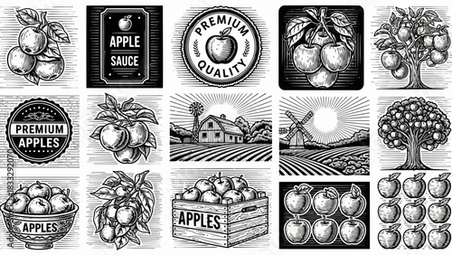 Collection of vintage apple fruit and farm related sketch labels
