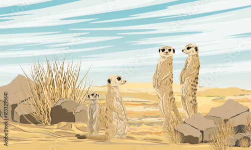 A gang of meerkats in a desert with dry grass and rocks. Desert wildlife. Realistic vector landscape.