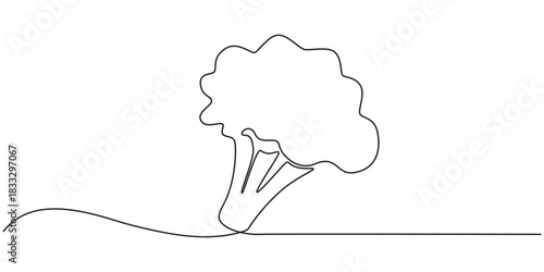 Vector illustration of broccoli with one line, Continuous single drawn one line broccoli vegetables hand-drawn picture silhouette. Line art. Doodle, one continuous single line of green broccoli