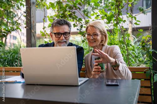 Working together on project. Two mature business colleagues working on computer
